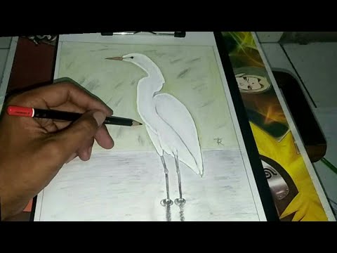 Detail Gambar Burung 3 Dimensi Nomer 25