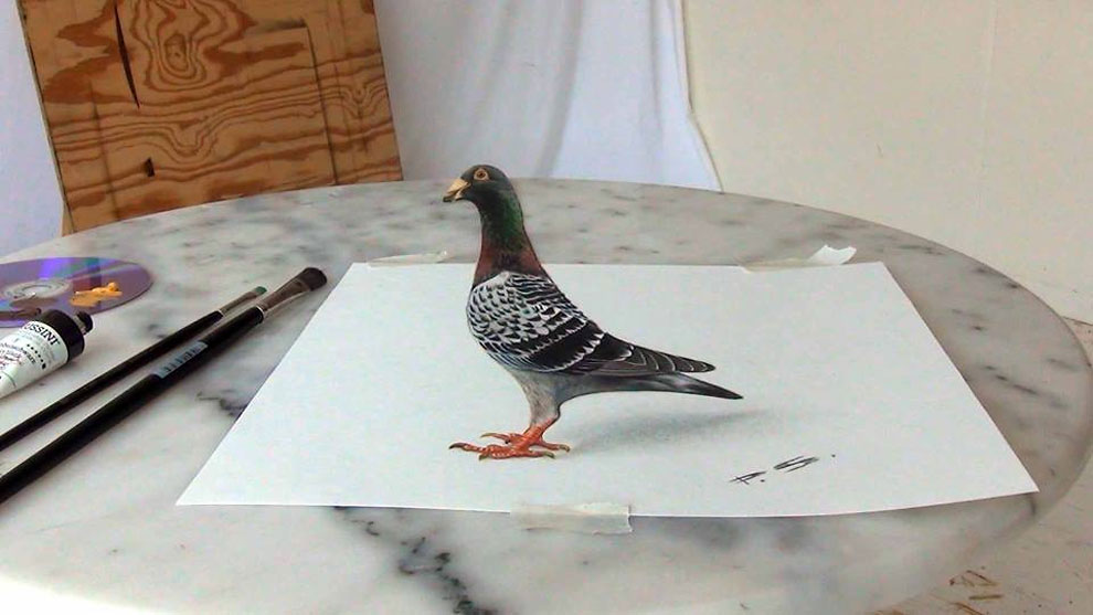Detail Gambar Burung 3 Dimensi Nomer 26