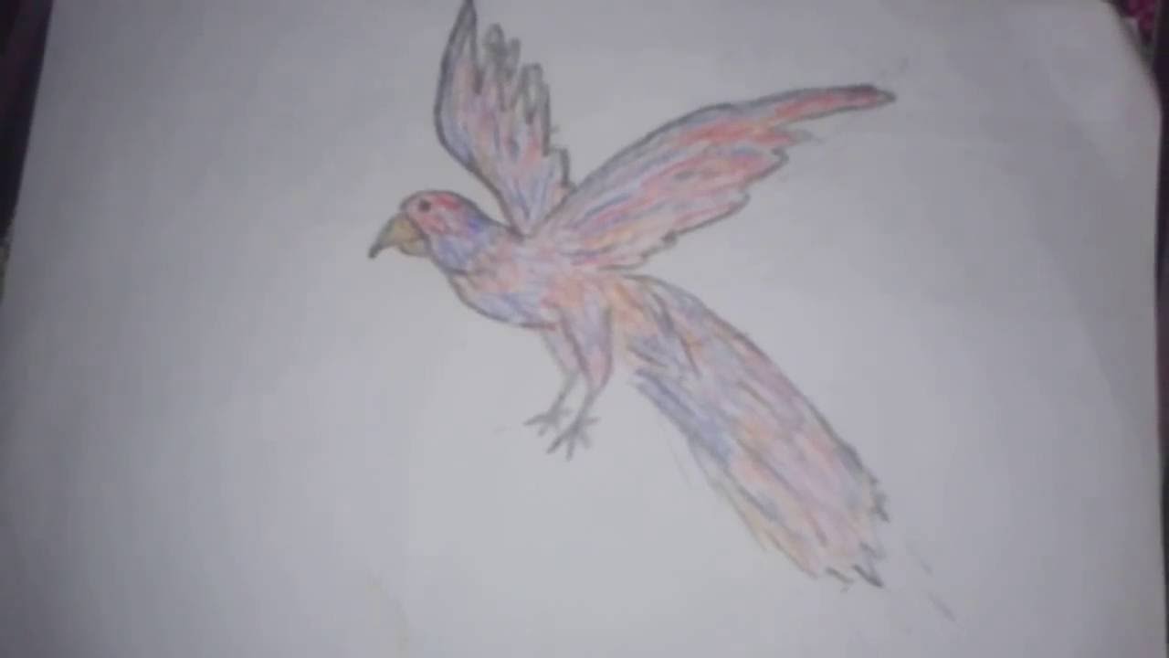Detail Gambar Burung 3 Dimensi Nomer 4