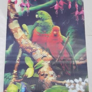 Detail Gambar Burung 3 Dimensi Nomer 33