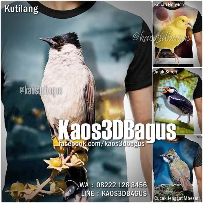 Detail Gambar Burung 3 Dimensi Nomer 38