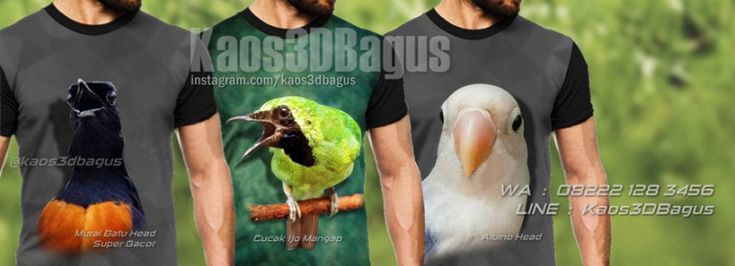 Detail Gambar Burung 3 Dimensi Nomer 39
