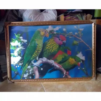 Detail Gambar Burung 3 Dimensi Nomer 41