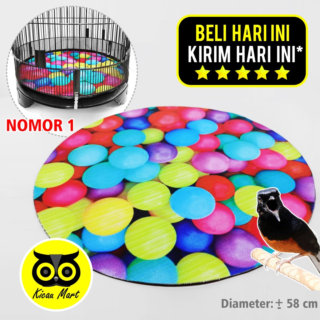 Detail Gambar Burung 3 Dimensi Nomer 43