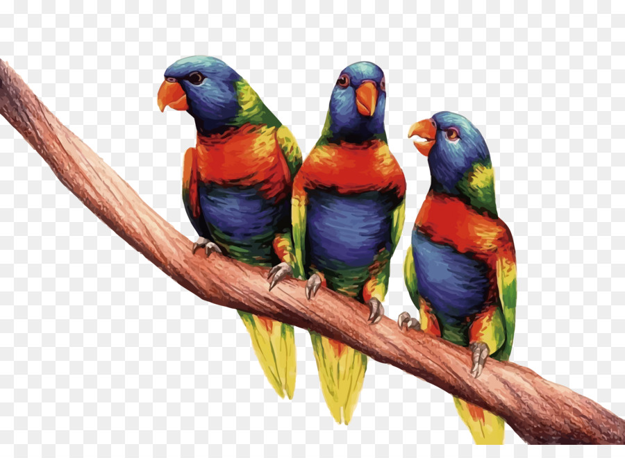 Detail Gambar Burung 3 Dimensi Nomer 45
