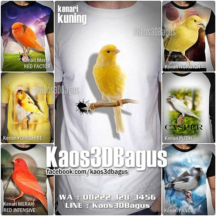 Detail Gambar Burung 3 Dimensi Nomer 46