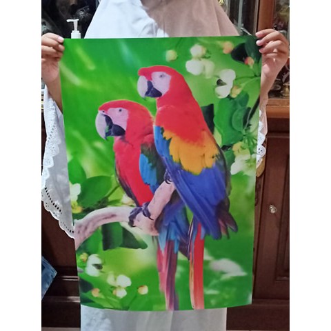 Detail Gambar Burung 3 Dimensi Nomer 51