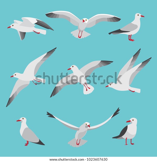 Detail Gambar Burung Camar Kartun Nomer 50