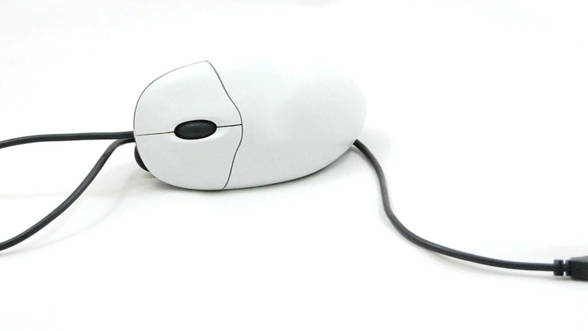 Detail Mouse De Cable Nomer 15