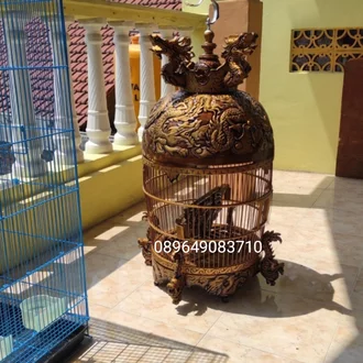 Detail Gambar Burung Dalam Sangkar Emas Nomer 22