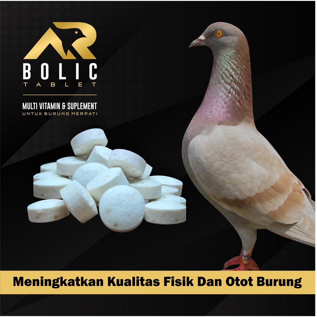 Detail Gambar Burung Dara Balap Nomer 49