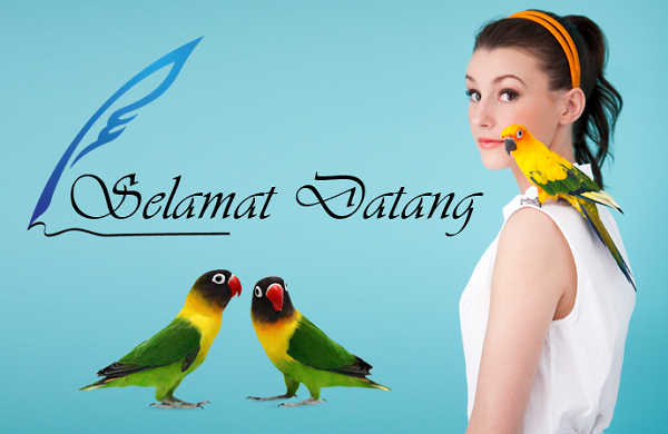 Detail Gambar Burung Di Beranda Nomer 9