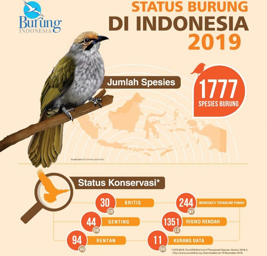 Detail Gambar Burung Di Indonesia Nomer 50