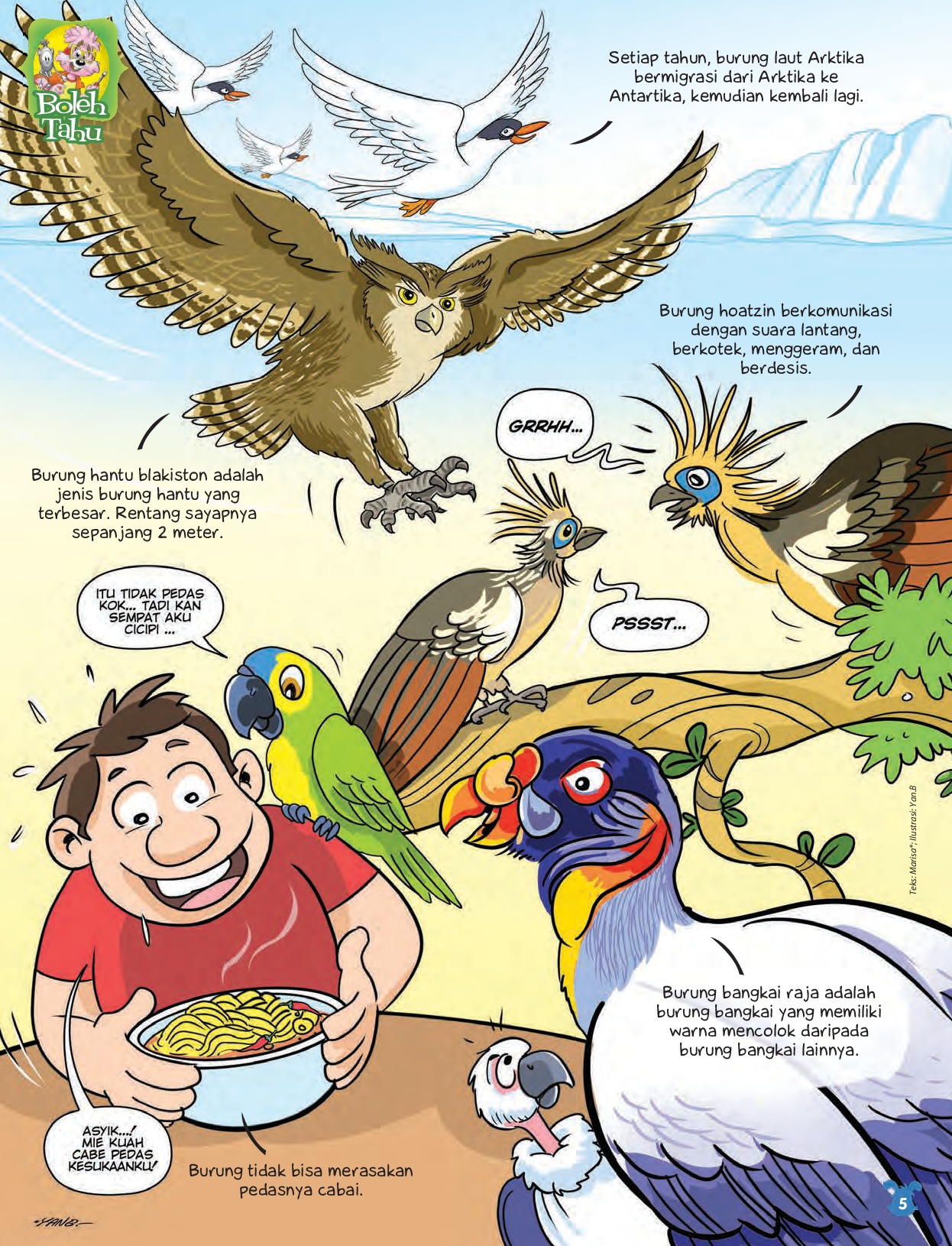 Detail Gambar Burung Di Majalah Bobo Nomer 43