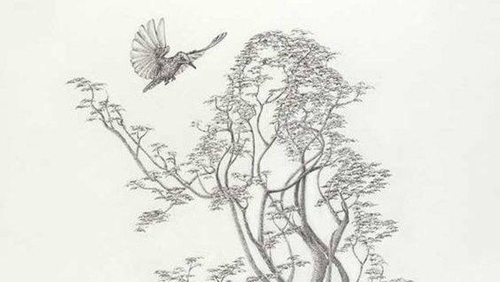 Detail Gambar Burung Di Pohon Nomer 15