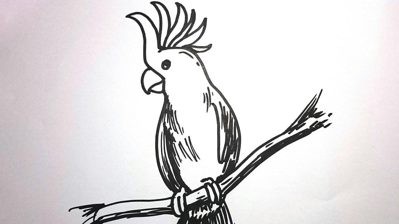 Detail Gambar Burung Di Pohon Dengan Pensil Nomer 35