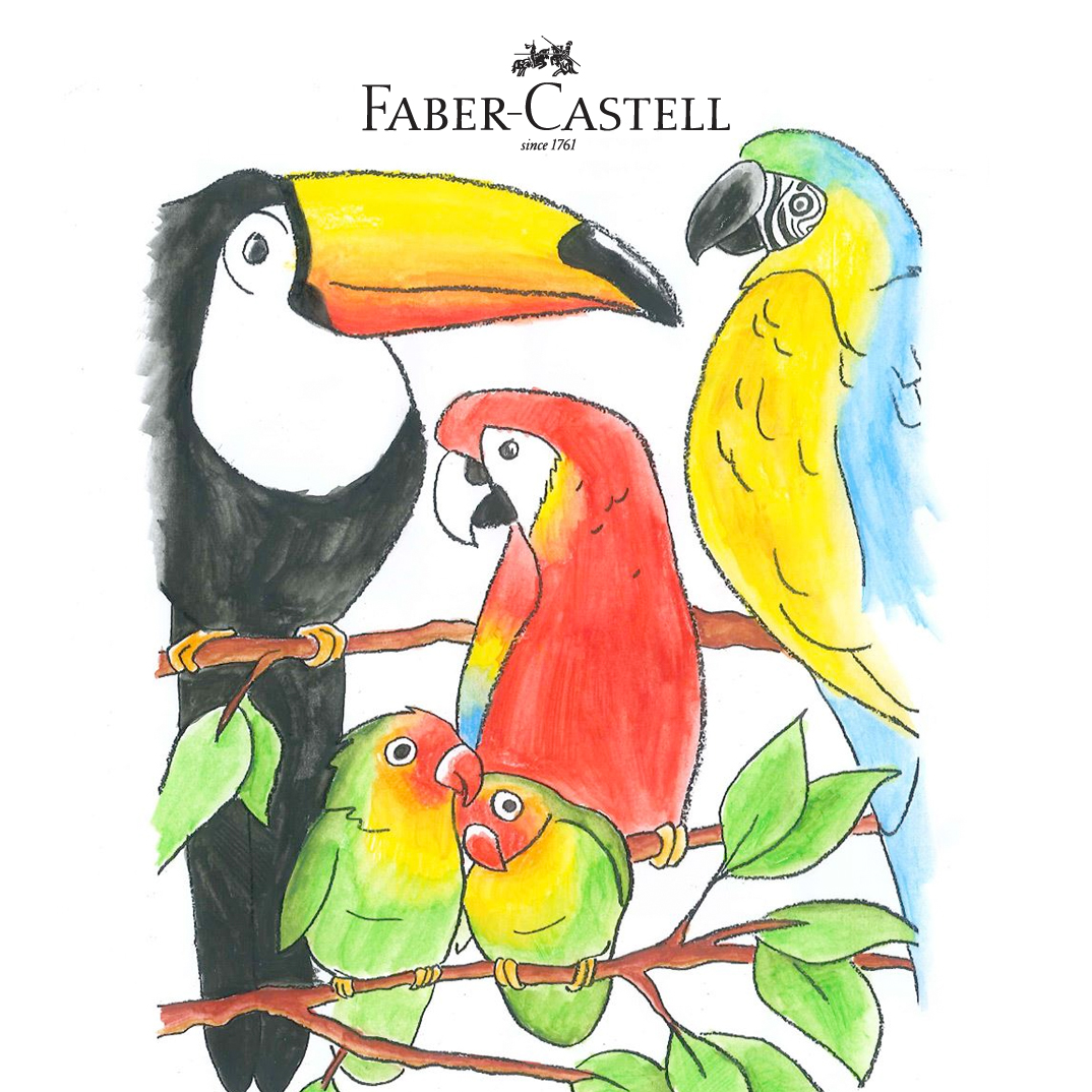 Detail Gambar Burung Faber Castell Nomer 12