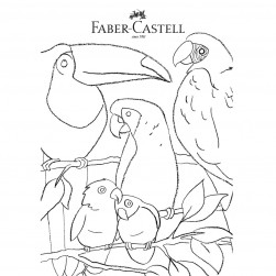Detail Gambar Burung Faber Castell Nomer 37