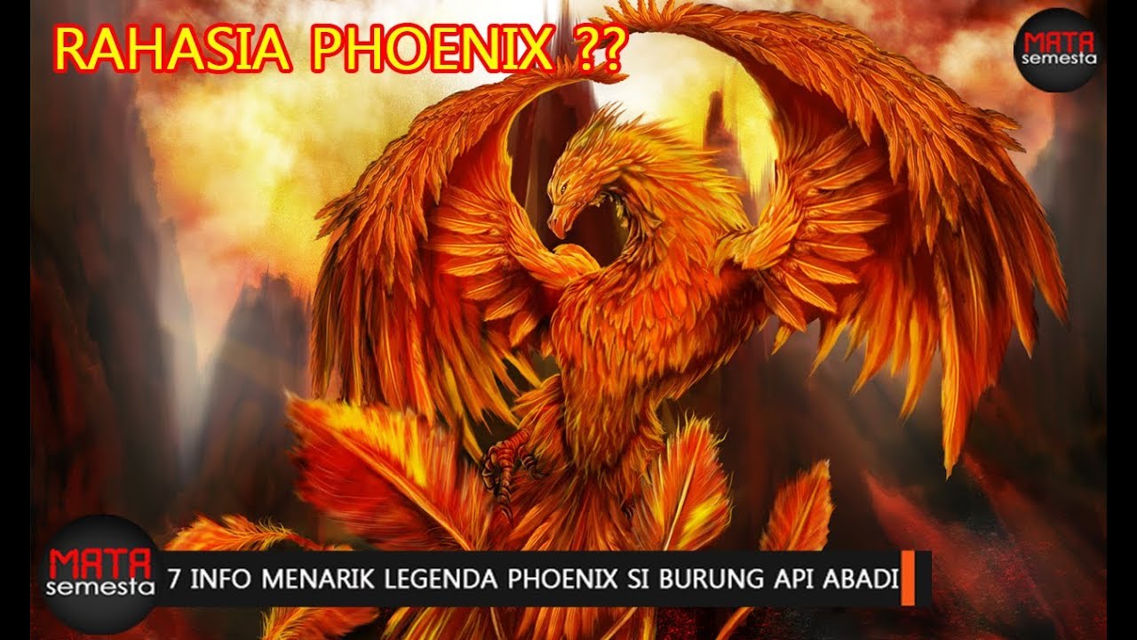 Detail Gambar Burung Finix Nomer 36