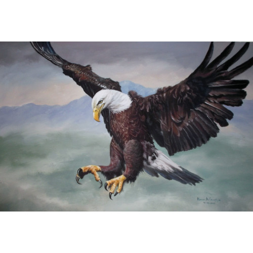 Detail Gambar Burung Gambar Burung Elang Nomer 11