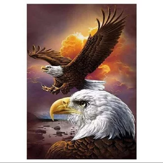 Detail Gambar Burung Gambar Burung Elang Nomer 20