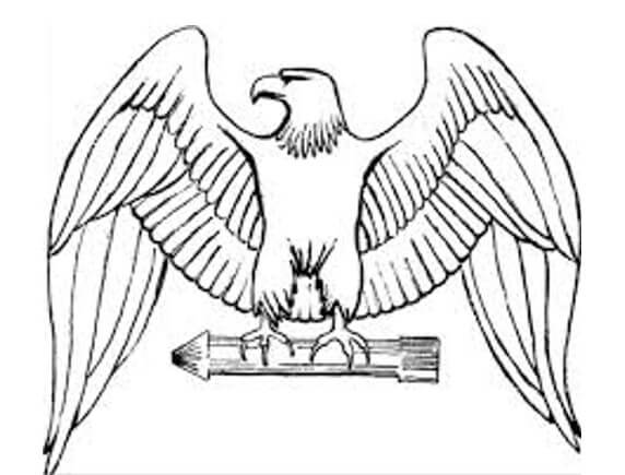 Detail Gambar Burung Garuda Untuk Diwarnai Nomer 17