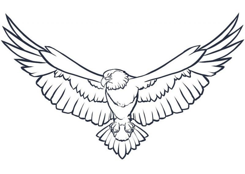 Detail Gambar Burung Garuda Untuk Diwarnai Nomer 22