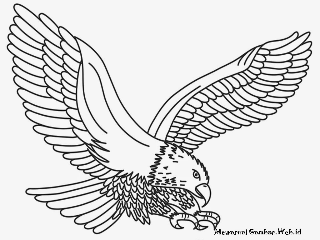 Detail Gambar Burung Garuda Untuk Diwarnai Nomer 39
