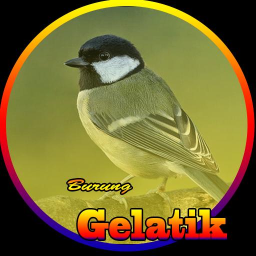 Detail Gambar Burung Gelatik Batu Nomer 53