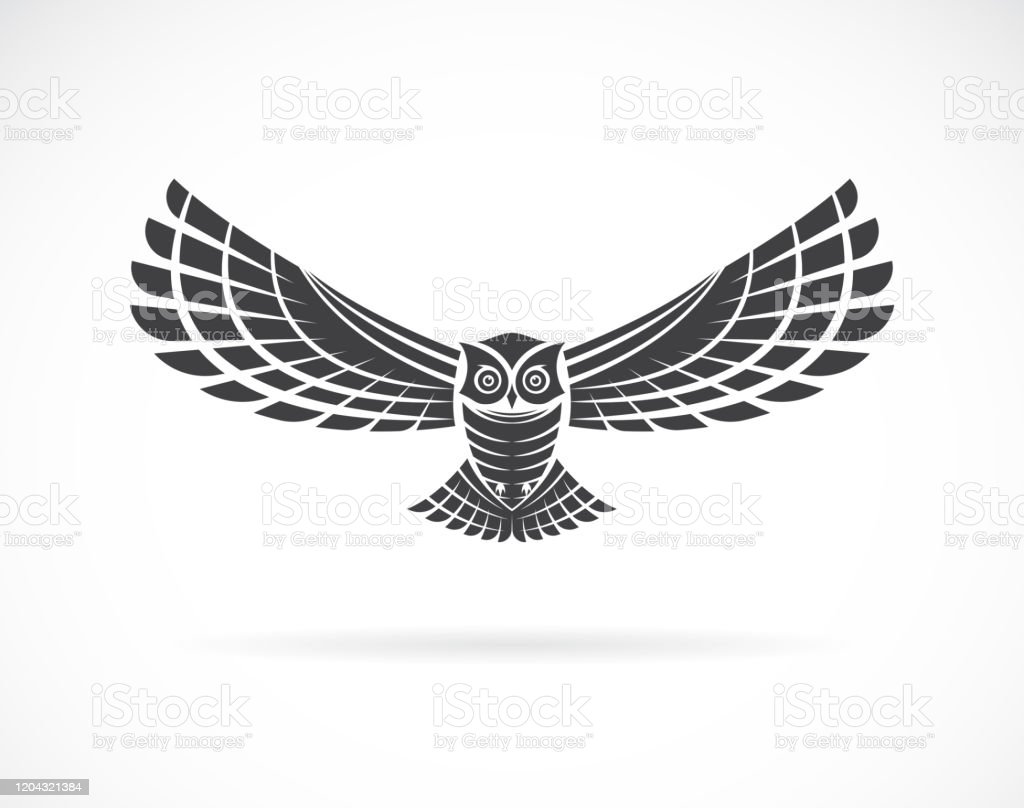Detail Gambar Burung Hantu Hitam Putih Burung Hantu Logo Vector Nomer 45