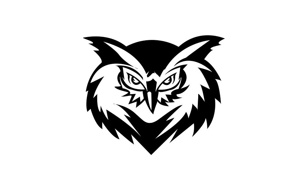 Detail Gambar Burung Hantu Hitam Putih Gambar Burung Hantu Logo Nomer 6