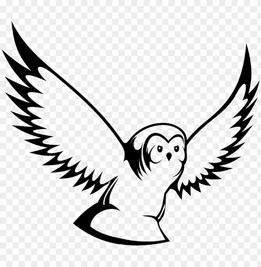 Detail Gambar Burung Hantu Hitam Putih Gambar Burung Hantu Logo Nomer 9