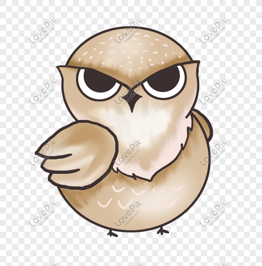 Detail Gambar Burung Hantu Hitam Putih Gambar Burung Hantu Logo Ilmu Nomer 19