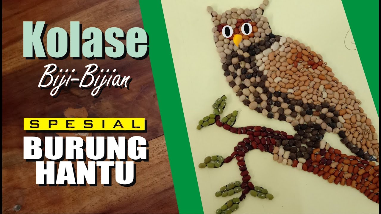 Detail Gambar Burung Hantu Kalose Nomer 16