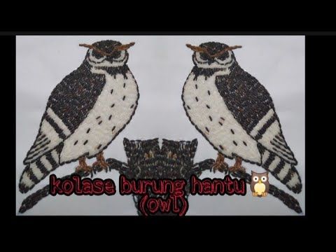 Detail Gambar Burung Hantu Kalose Nomer 30