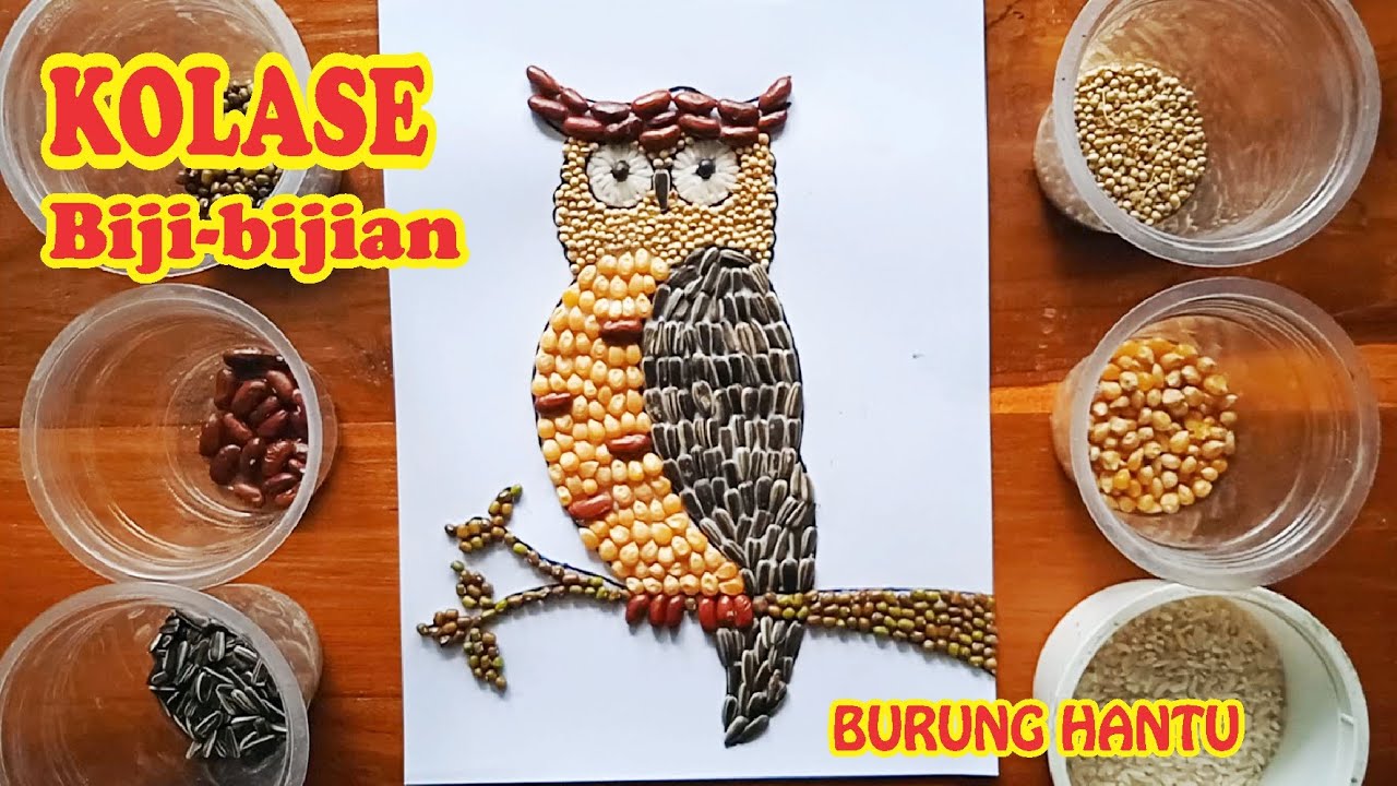 Detail Gambar Burung Hantu Kalose Nomer 34