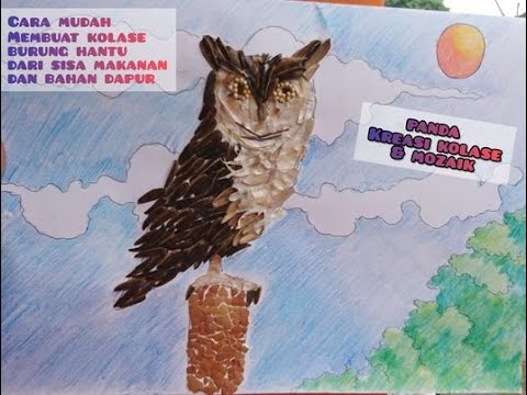 Detail Gambar Burung Hantu Kalose Nomer 39