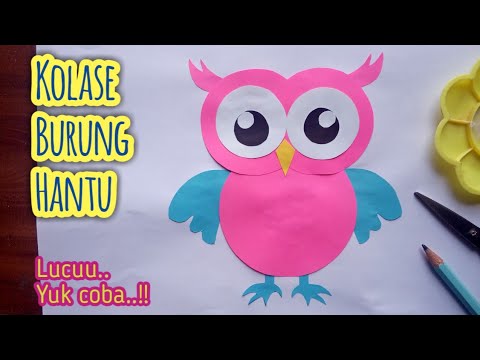 Detail Gambar Burung Hantu Kalose Nomer 40