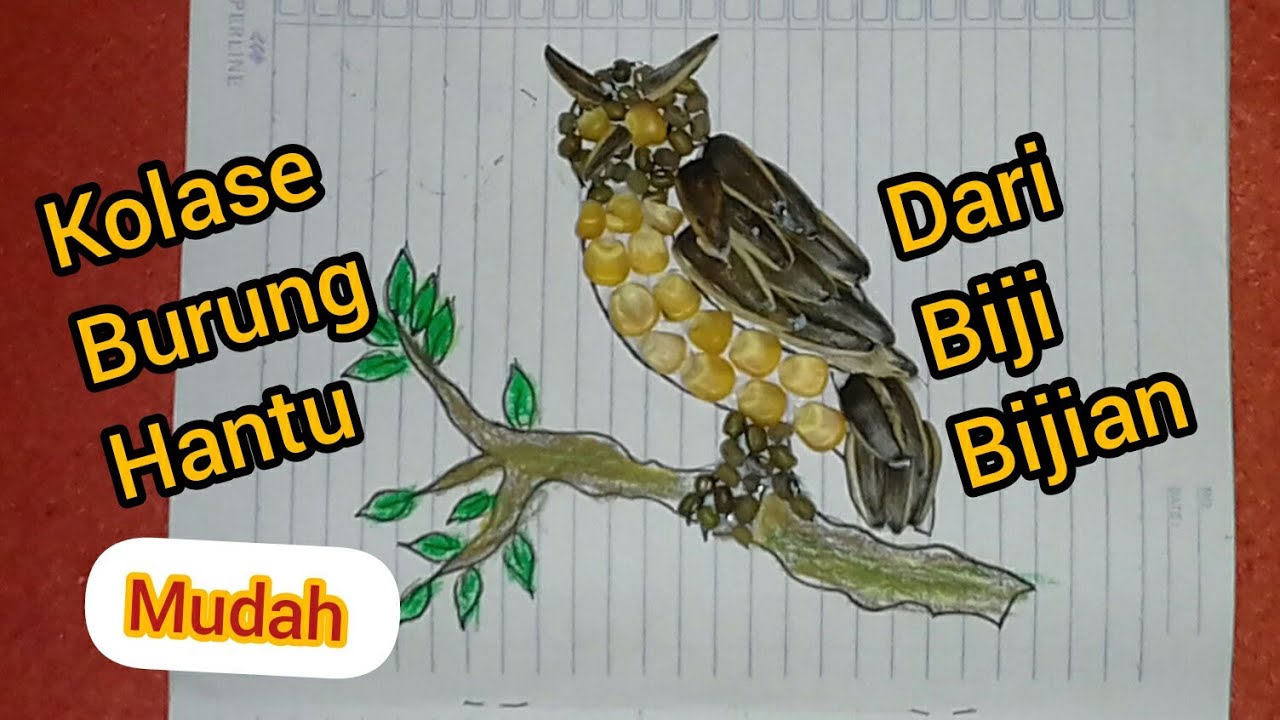 Detail Gambar Burung Hantu Kalose Nomer 45