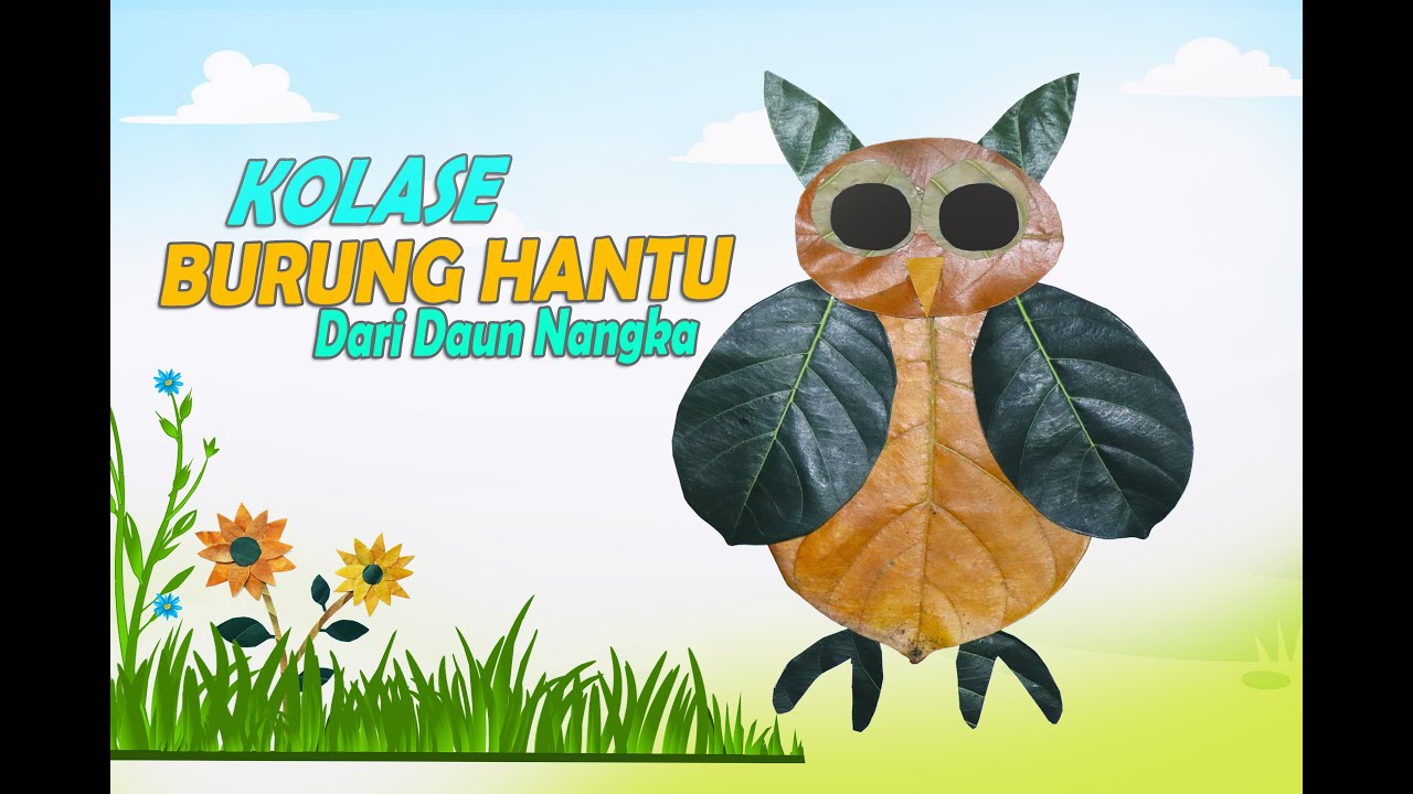 Detail Gambar Burung Hantu Kalose Nomer 55