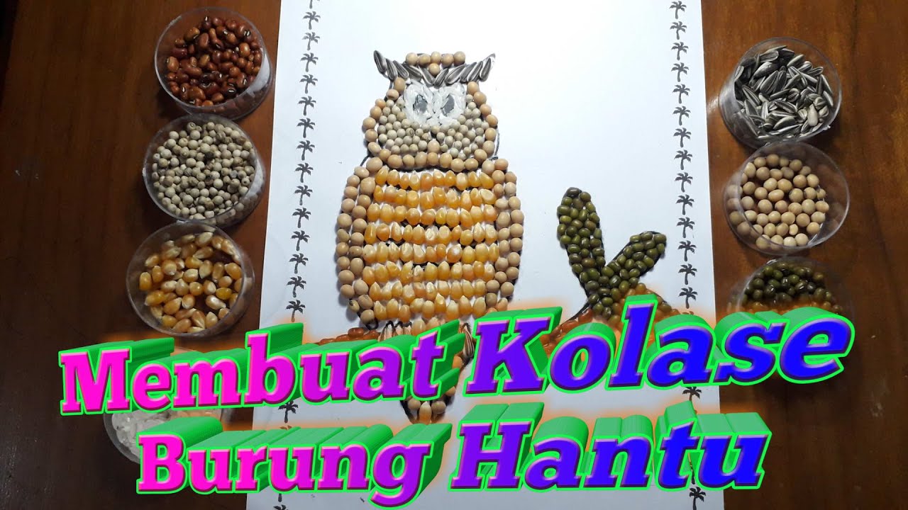 Detail Gambar Burung Hantu Kolase Nomer 40