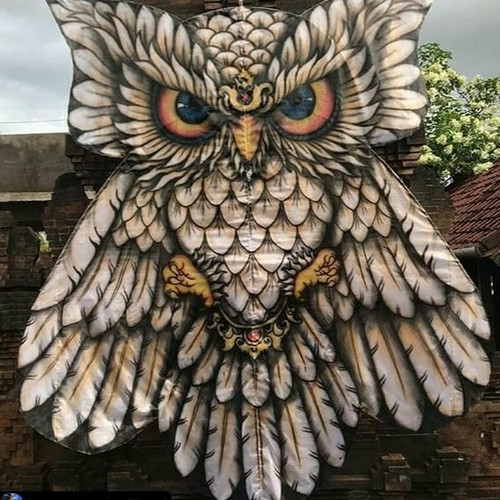 Detail Gambar Burung Hantu Putih Nomer 27