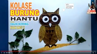 Detail Gambar Burung Hantu Untuk Kolase Nomer 31