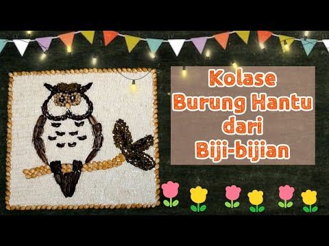 Detail Gambar Burung Hantu Untuk Kolase Nomer 55