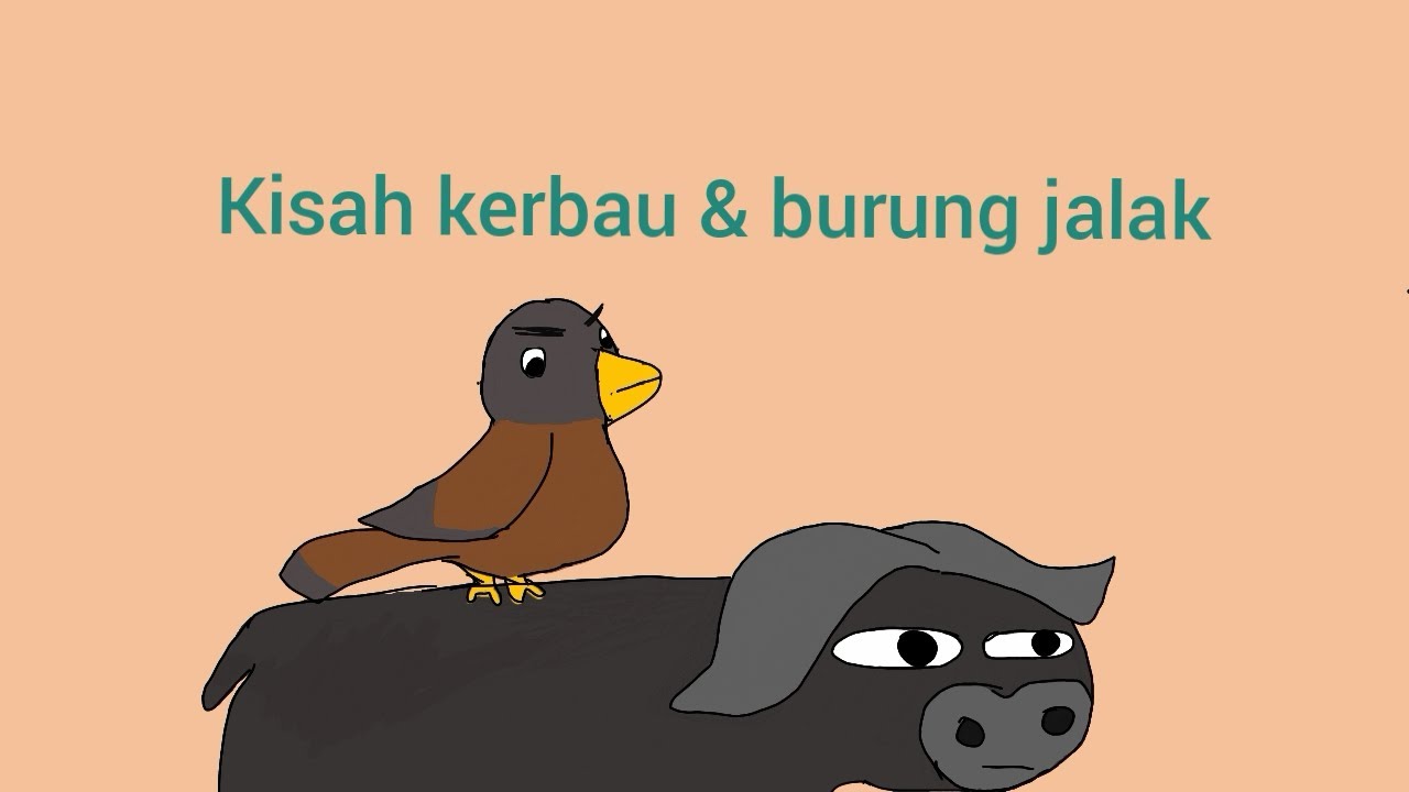 Detail Gambar Burung Jalak Animasi Nomer 35