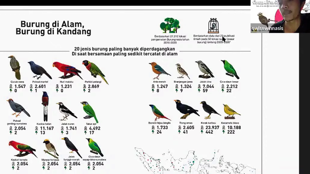 Detail Gambar Burung Kicau Di Indonesia Nomer 31