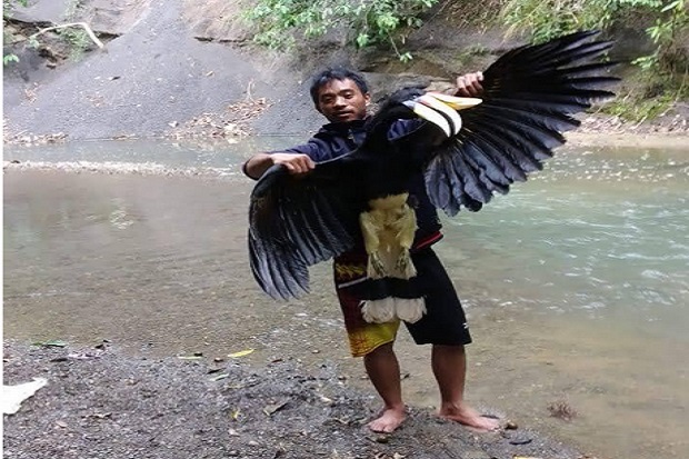 Download Gambar Burung Langka Nomer 11