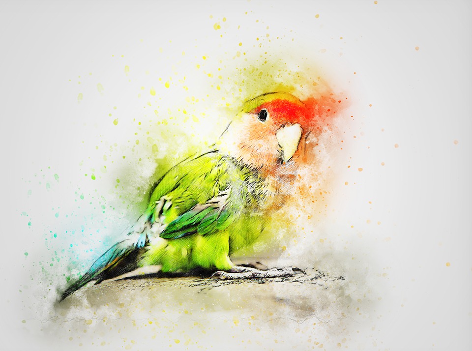 Gambar Burung Lovebird Abstrak - KibrisPDR