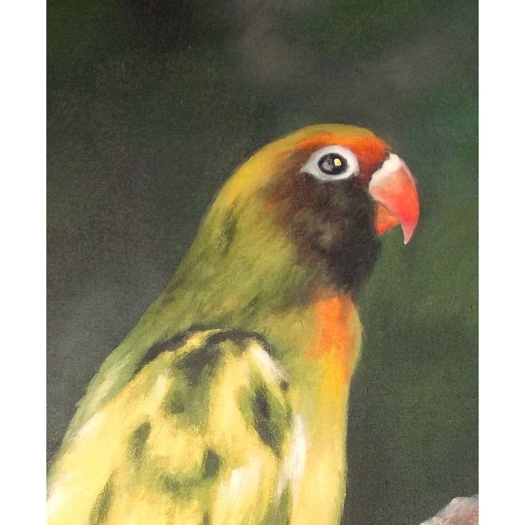 Detail Gambar Burung Lovebird Abstrak Nomer 36