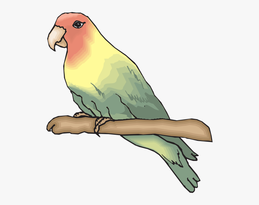 Detail Gambar Burung Lovebird Karikatur Nomer 11